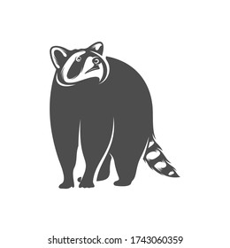 Racoon logo design vector. Icon Symbol. Template Illustration