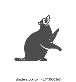 Vector de diseño del logo de Racoon. Símbolo de icono. Ilustración de plantilla