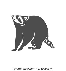 Racoon logo design vector. Icon Symbol. Template Illustration