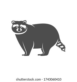 Racoon logo design vector. Icon Symbol. Template Illustration