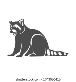 Racoon logo design vector. Icon Symbol. Template Illustration