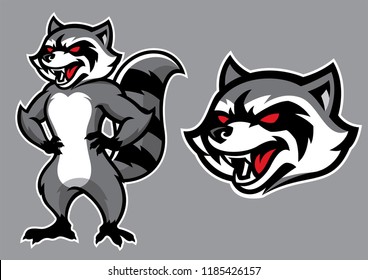 Racoon Mascot In Set