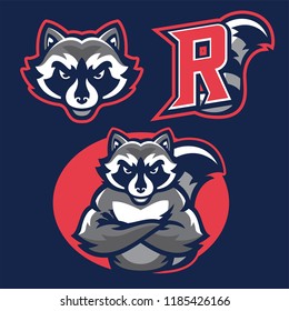 Racoon In Sport Mascot