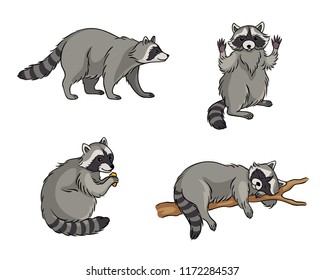 Racoons - vector illustration. EPS8