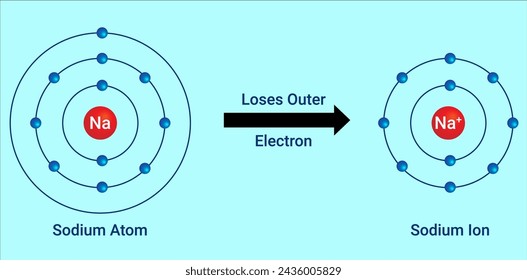 Raction of Sodium Atom and Sodium Ion