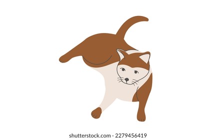 Rad Cat in cartoon style. Vector illustration isolated on a white background.