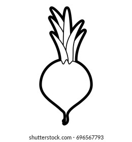 raddish vector illustration