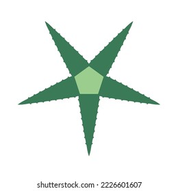 Radial green Aloe Vera leaves pentagon. A group of five succulents displaying thorny edges around a pentagonal shape. Isolated on a white background.