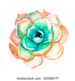 Radial Halftone vector hand painted watercolor succulent flower rose plant for your blog design