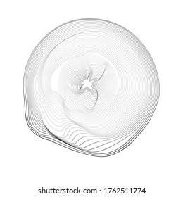 Líneas radiales en forma de espiral para libros de historietas . fuegos artificiales Fondo de explosión . Ilustración vectorial. Starburst
 logotipo redondo. Elemento de diseño circular. Resumen Rayos de estrellas geométricas . Salto de sol.