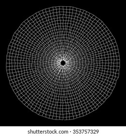 Radial   mesh for design project on black - vector illustration 