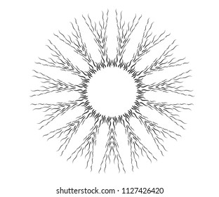 radial motif concentric lines circular design