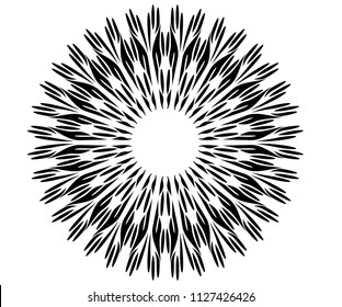 radial motif concentric lines circular design