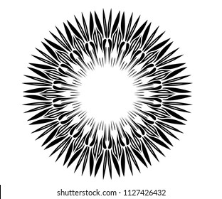 radial motif concentric lines circular design