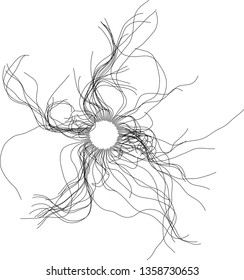 Radial Organic looking lines 