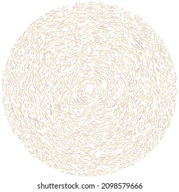Radial, radiating lines. Radiation, explosion, twinkle, glare and glint effect. Abstract blast, aurora, aura effect design