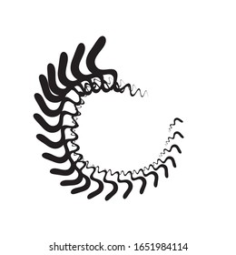 Radial speed Lines in Circle Form for comic books . Explosion background . Vector Illustration .Technology round Logo . Circular Design element . Abstract Geometric shape . 