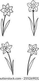Radiant Daffodil Line Art Vector - A Beautifully Simple Floral Design for Creative Artworks