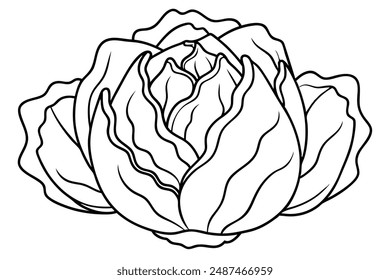 Radiant Radicchio Vibrant Vegetable Vignettes in Elegant Line Art