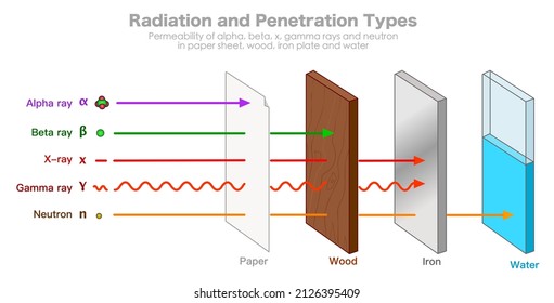 Radiation penetration types. Permeability power, alpha, beta, x ray, gamma rays. Neutron particle. paper sheet, wood, iron plate, water. Radioactivity. Illustration graphic vector