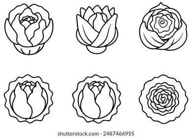 Radicchio Reflections Serene Studies of Nature in Intricate Line Art