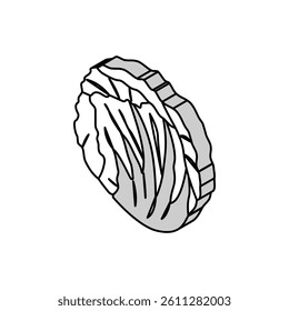 radicchio salad food isometric icon vector. radicchio salad food sign. isolated symbol illustration