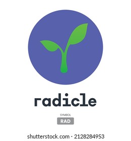 Radicle (RAD) cryptocurrency logo symbol vector illustration template Can be used in Banners, posters, icons, stickers, badges, labels and print designs.