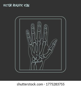 Radiography icon line element. Vector illustration of radiography icon line isolated on clean background for your web mobile app logo design.