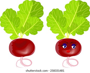 radish