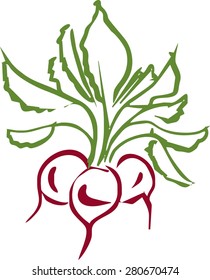 radish