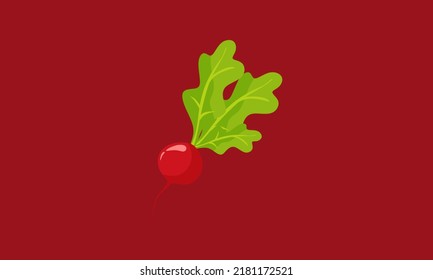 Radish 3d on red background. Design for food, culinary products, recipe website design, cookbook. Vector eps10