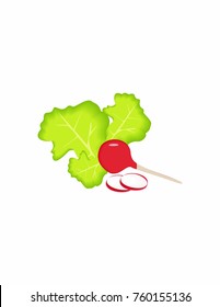 Radish against white background