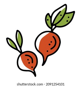 Radish autumn vegetable harvest, linear vector icon in doodle style
