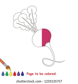 Radish to be colored, the coloring book for preschool kids with easy educational gaming level.