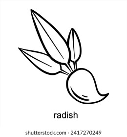 Radish Black Outline - For Children Coloring Pages