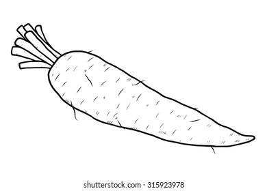 radish or carrot root / cartoon vector and illustration, black and white, hand drawn, sketch style, isolated on white background.
