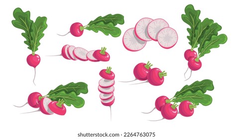 Iconos de dibujos animados listos. Cultivar verduras frescas. Todo y rebanado. Lo mejor para los diseños de menú de cocina y mercado agrícola. Ilustraciones vectoriales.