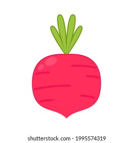 Radish cartoon vector. Radish on white background.