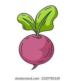 Radish, colorful linear icon. Farm seasonal vegetable, vector outline green veggies, color illustration. Healthy nutrition, organic food, natural product. Symbol for sticker, logo, print