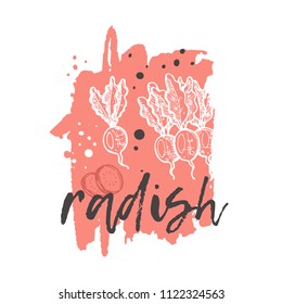 Radish concept design. Hand drawn vector illustration. Vegetables. Can be used for farmers market, food festival, menu, cafe, restaurant, bar, poster, banner, emblem, sticker, placard.