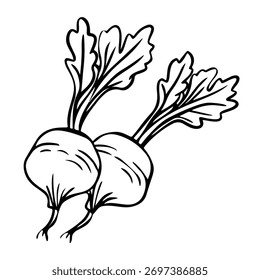 Prazer de Rabanete: um desenho de arte de linha limpo e minimalista de dois rabanetes frescos, incorporando a simplicidade e a essência da alimentação saudável.