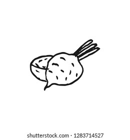 radish doodle vector sketch isolated on white background