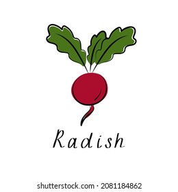 Radish flat design icon isolated on white background