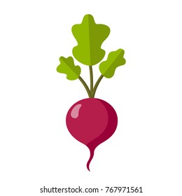 radish flat design icon isolated on white background