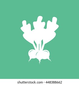 Radish Flat Icon On Green Background
