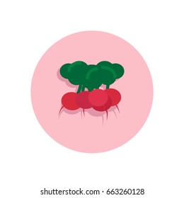 Radish flat icon. Round colorful button, circular vector sign, logo illustration. Flat style design
