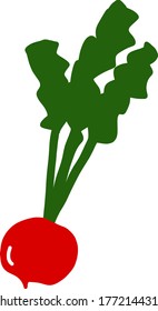 radish flat vector icon illustration