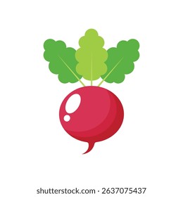 Radish flat vector illustration on a white background