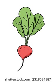Rot mit Blattsymbol, doodle single, Vektorgemüse auf weißem Hintergrund.
