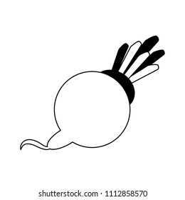 Radish fresh vegetable in black and white colors